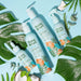 Flora & Curl Soothe Me Coconut Mint Curl Refresh Acondicionador 300ml - Curly Stop