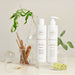 Innersense Hair Renew Scalp Balance Duo - Curly Stop