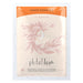 Phitofilos Henna 100g - Curly Stop