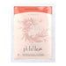 Phitofilos Tratamiento en Polvo 50g - Curly Stop